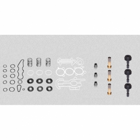 ECAS Solenoid ventili Tamir Takımı